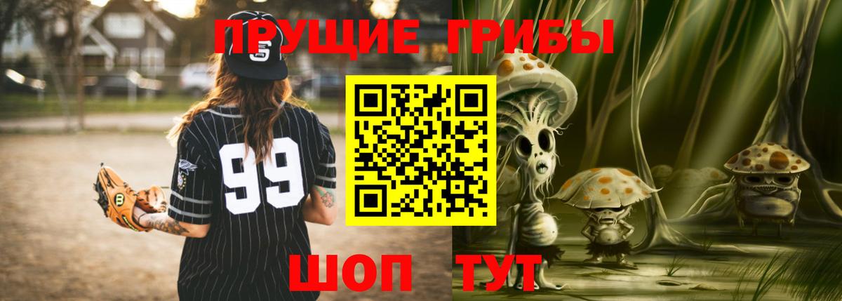 Бор  Галлюциногенные грибы прущие грибы  Вход с VPN 
